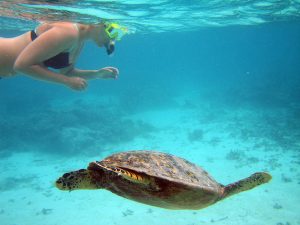 cancun to isla mujeres catamaran tour