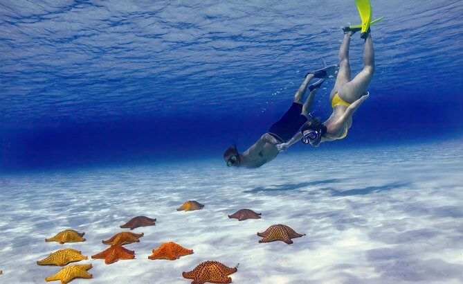 Snorkeling in Cozumel: Where to Go, What to See, and When to Visit