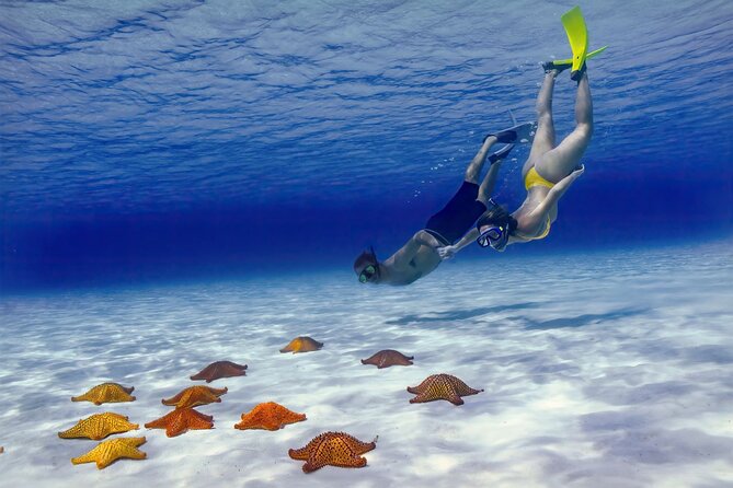  snorkeling in Cozumel | Luxury Yacht Rental Cancun