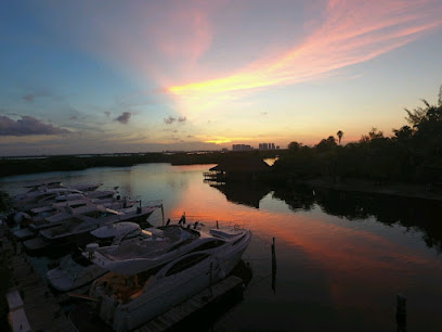 Luxury yacht and private boat rental near Marina Punta Norte Cancun